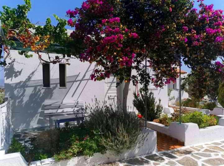 Kassandra Garden Residence Istro Exterior photo